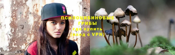 СК Медвежьегорск