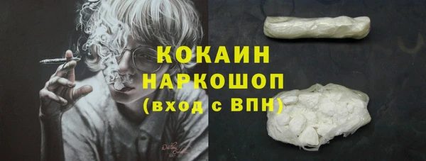 СК Медвежьегорск