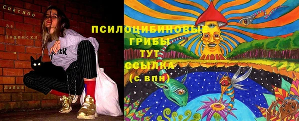 СК Медвежьегорск